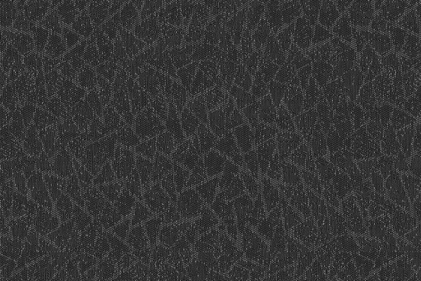 Bolon Graphic Texture Black