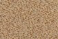 Carpet Concept Concept 503 tapijt