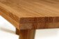 Castelijn Vergadertafel TSP detail
