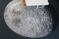 Donkersloot Moon karpet | vloerkleed sfeerfoto