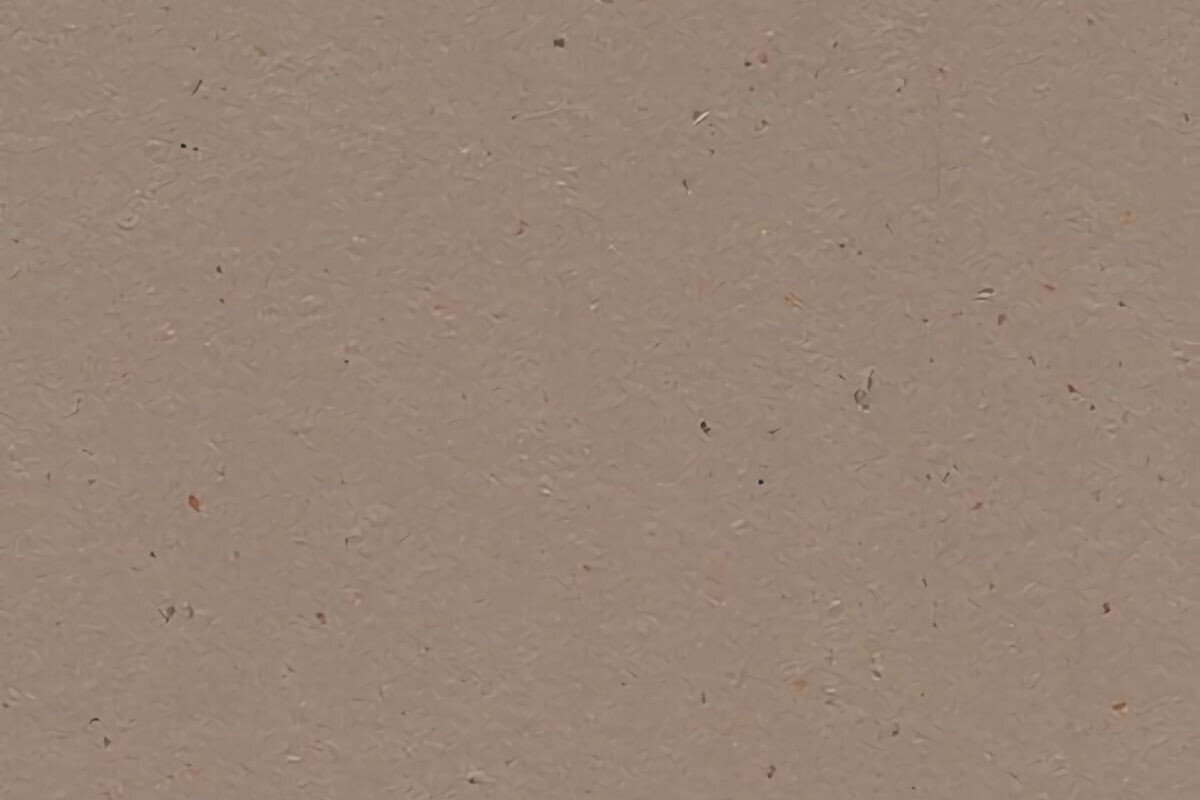 Forbo Texture Forbo Marmoleum Solid Cocoa linoleum (B2B) - De Projectinrichter