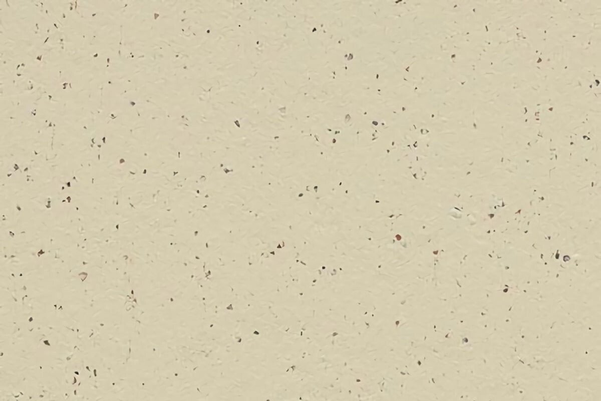 Forbo Texture Forbo Marmoleum Solid Cocoa linoleum (B2B) - De Projectinrichter