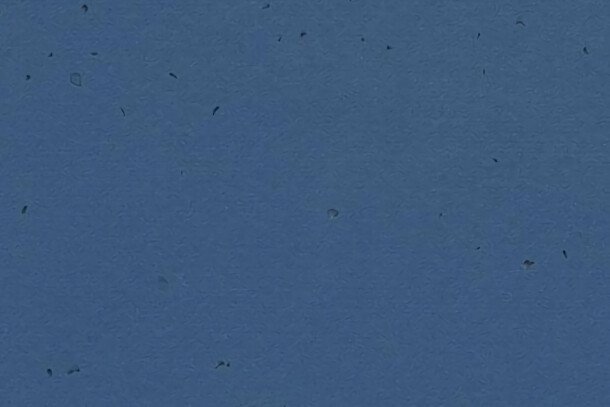 Forbo Sphera Energetic homogeen vinyl vloer donkerblauw