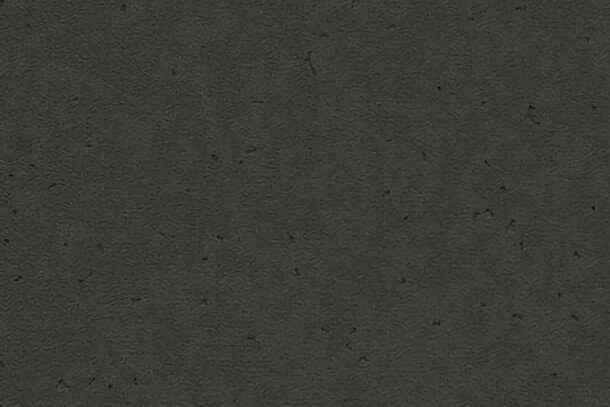 Forbo Sphera Energetic homogeen vinyl vloer zwart