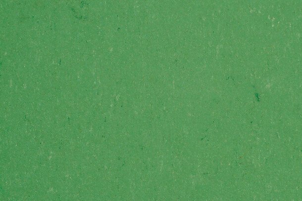 Gerflor dlw linoleum colorette lpx 131 006