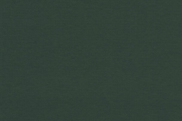 Gerflor DLW uni walton lpx 101 035