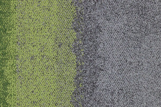 Interface Composure Edge 4274003 Olive Seclusion