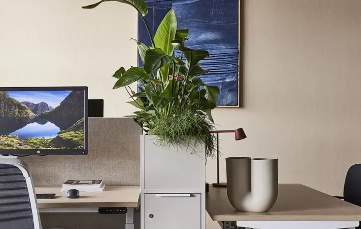 Een natuurlijke ruimteverdeler